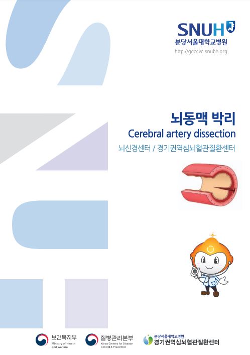 뇌동맥박리.JPG